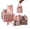 리본 손잡이 230gsm를 가진 작은 장미 분홍색 CMYK 공상 선물 종이 봉지 포장 운반대